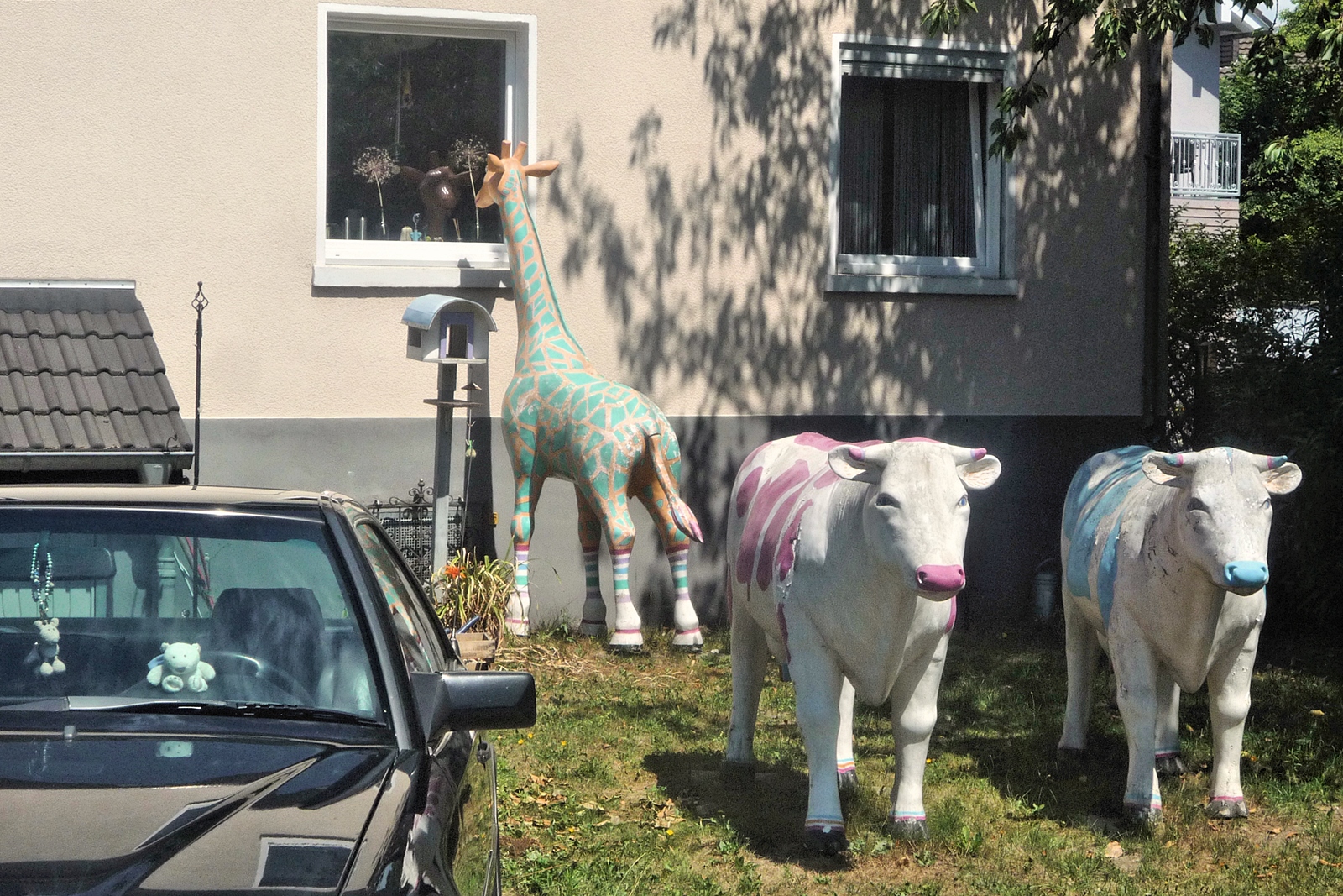 "Menno ! Dauernd dieser neugierige Giraffenhals ! Wir sind es leid mit ihm !"