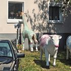 "Menno ! Dauernd dieser neugierige Giraffenhals ! Wir sind es leid mit ihm !"