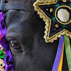 Menorca, Festes de Gràcia in Maó, Tradicional Jaleo