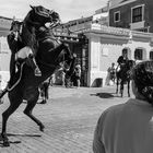 Menorca-Rodeo