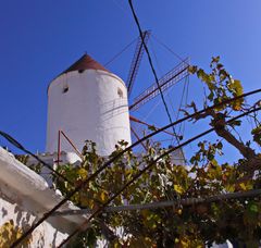 Menorca Windmühle 5