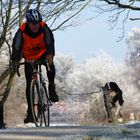 Mensch & Hund beim Sport