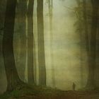Mensch im Nebelwald 