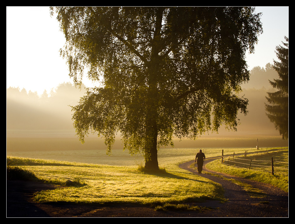 Mensch in der Morgensonne