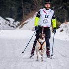 Mensch k.o. Hund fit - Sport017