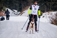 Mensch k.o. Hund fit - Sport017