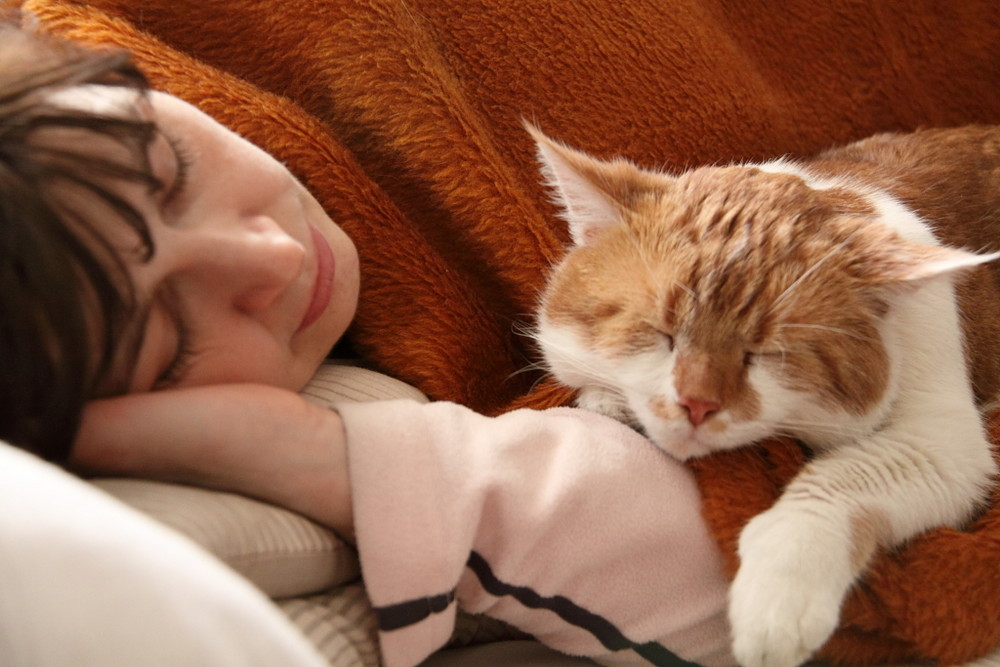 Mensch liebt Katze und Katze liebt Mensch