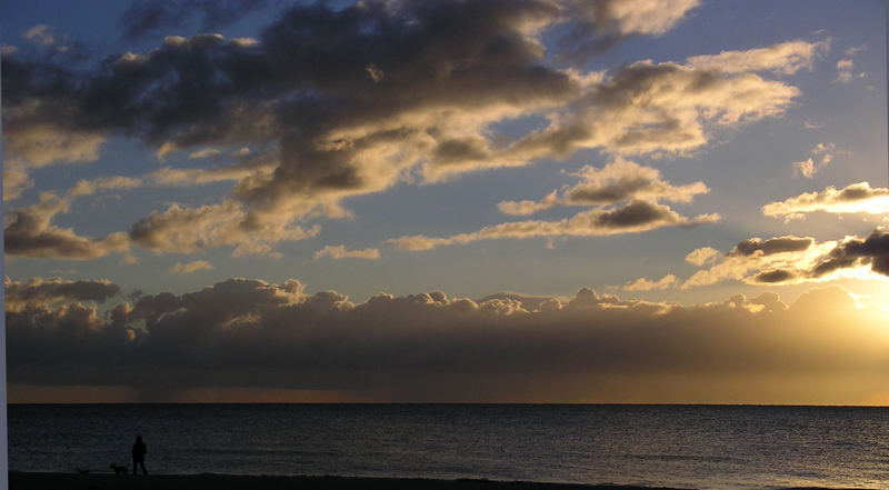 Mensch mit Hund am Meer