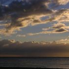 Mensch mit Hund am Meer