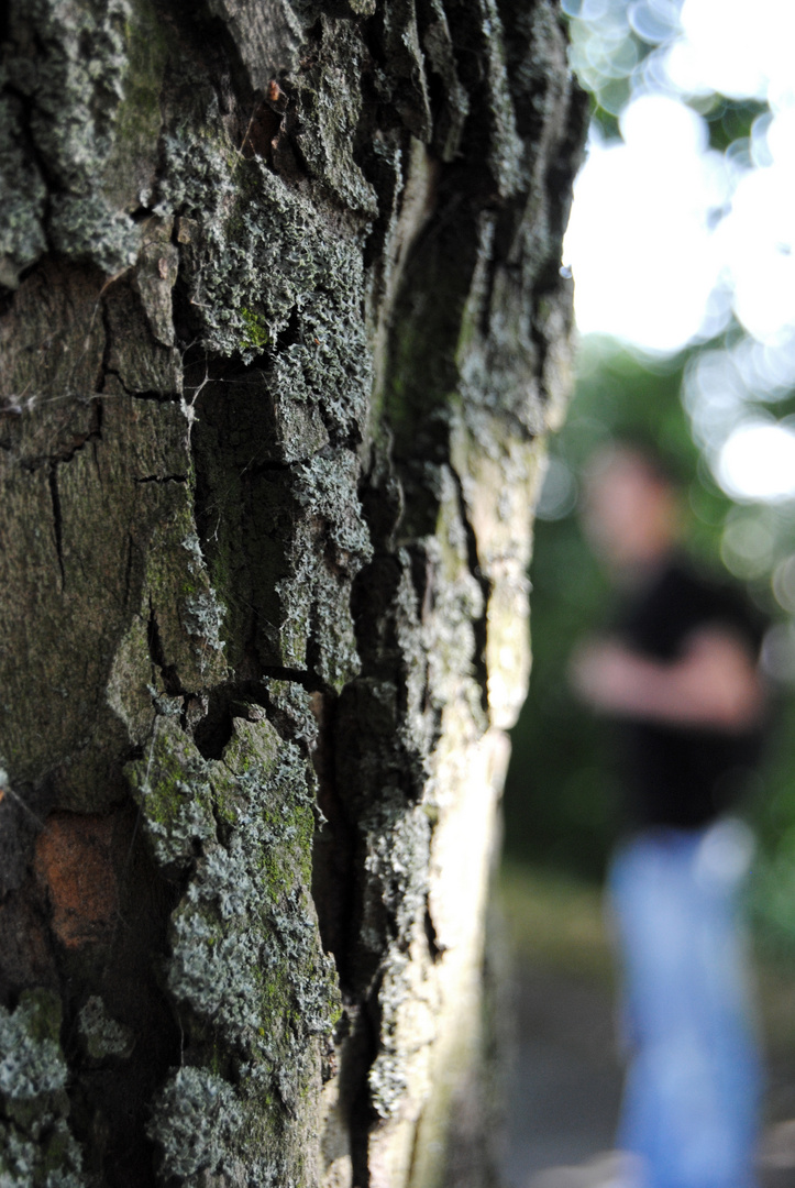 Mensch + Natur