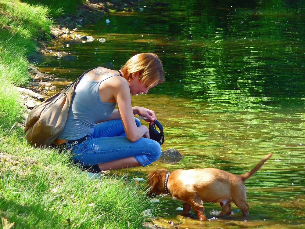 Mensch oder Hund: Wer ist freier?