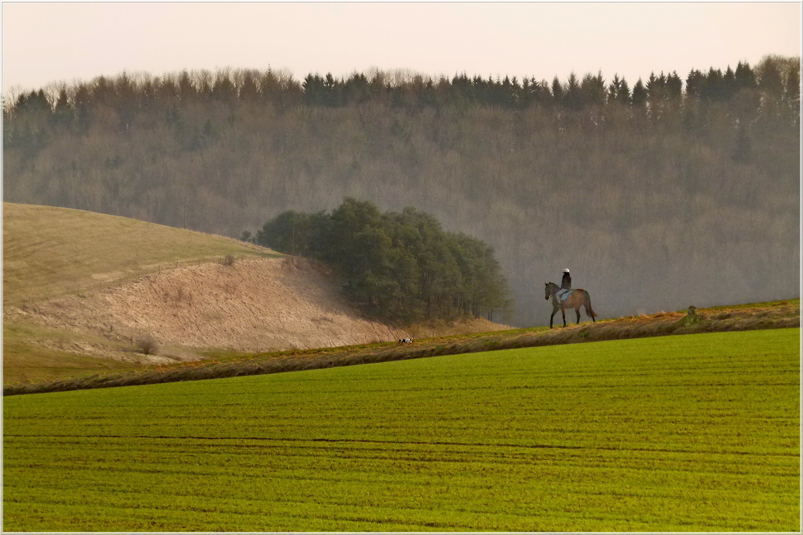 Mensch + Pferd + Hund