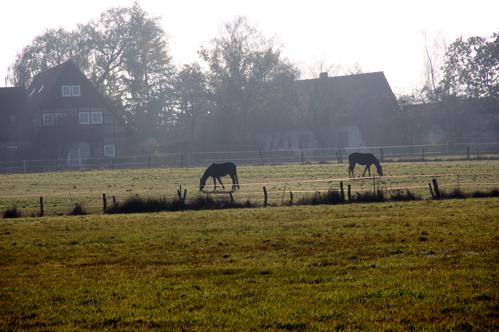 Mensch, Tiere und Natur