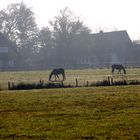 Mensch, Tiere und Natur