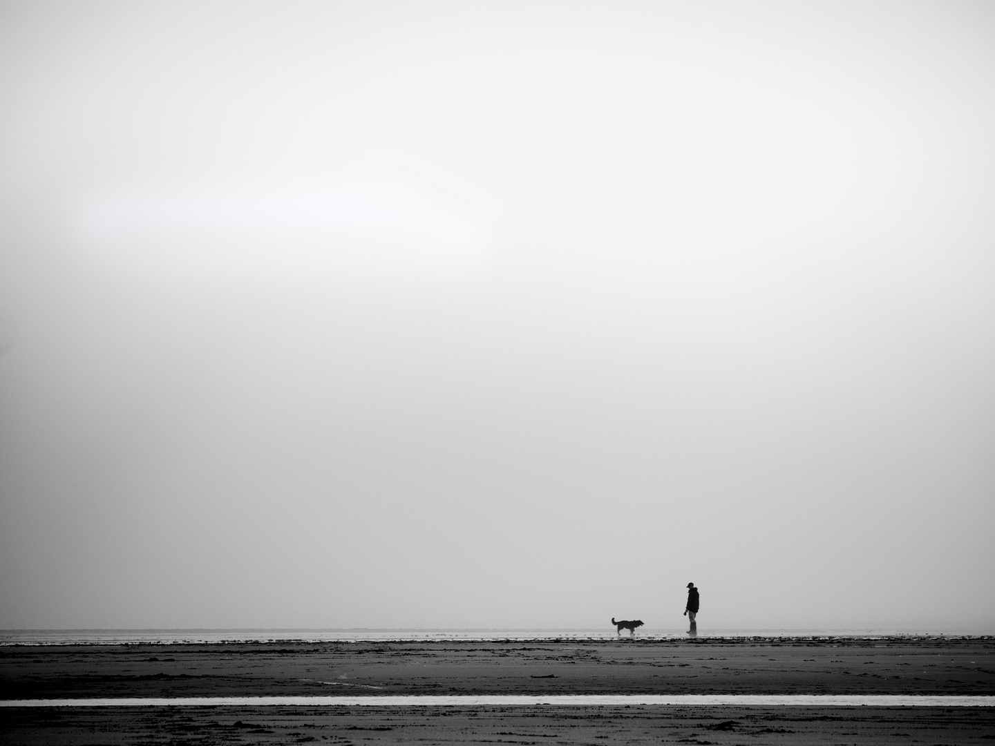 Mensch und Hund am Meer