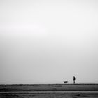 Mensch und Hund am Meer