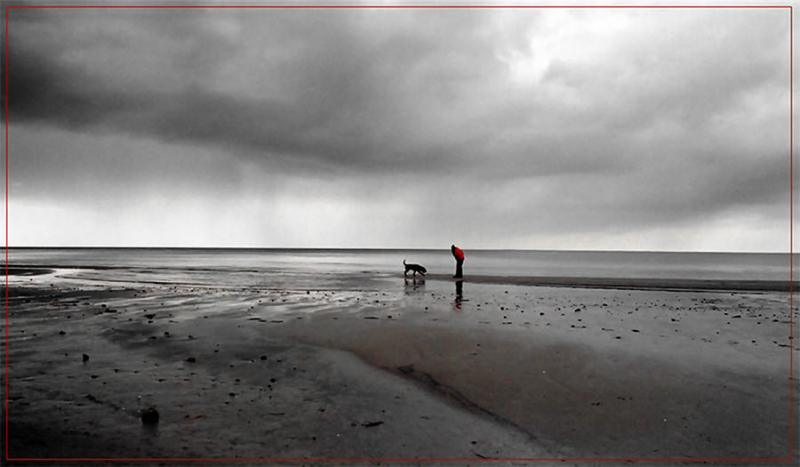 Mensch und Hund am Meer