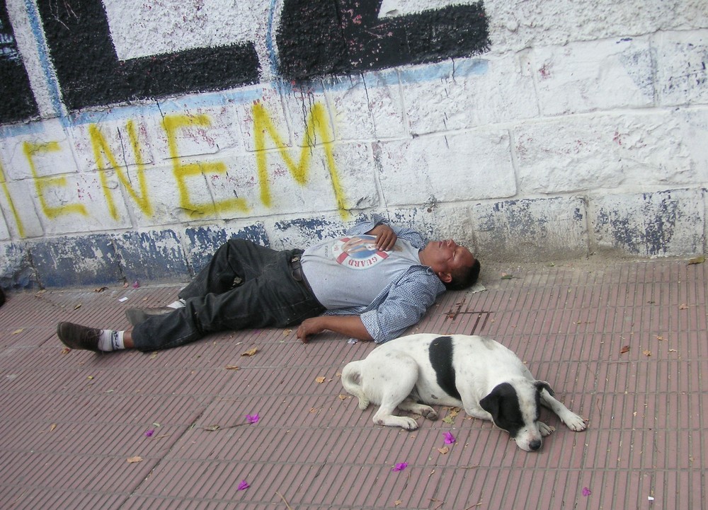 Mensch und Hund bei der Siesta in Argentinien