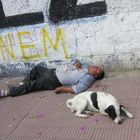 Mensch und Hund bei der Siesta in Argentinien