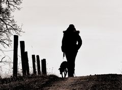 Mensch und Hund im Einklang