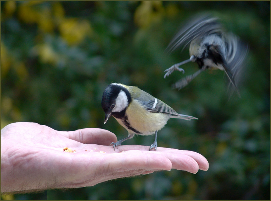 Mensch und Natur 2