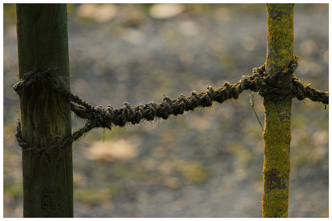 Mensch und Natur (2)