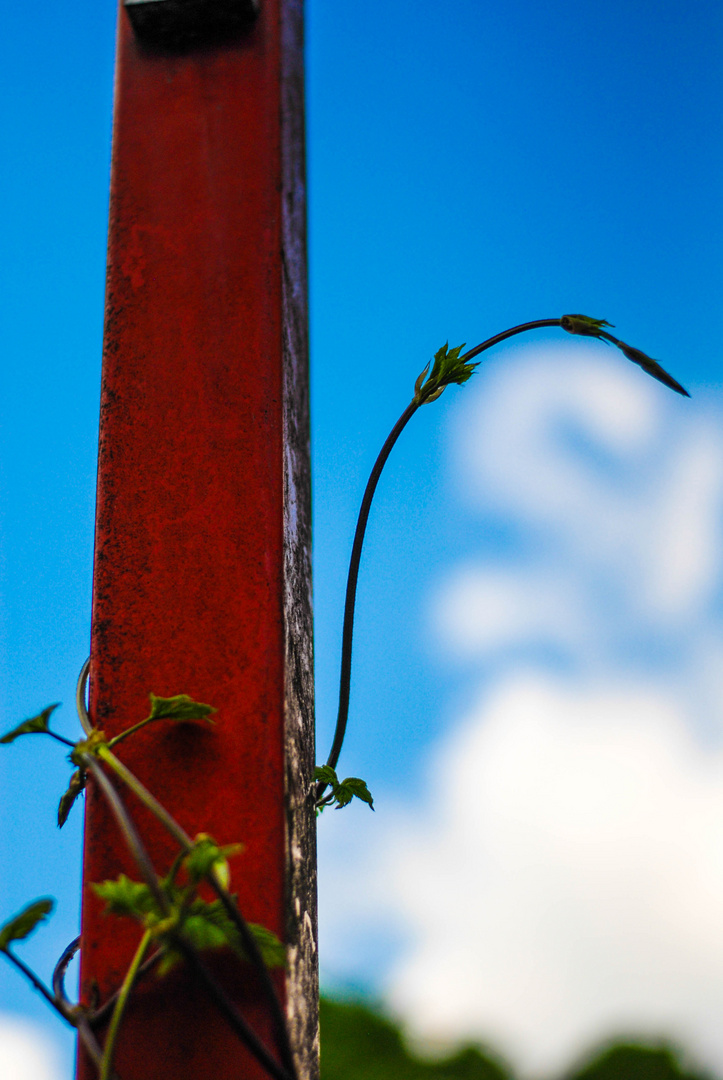 Mensch und Natur