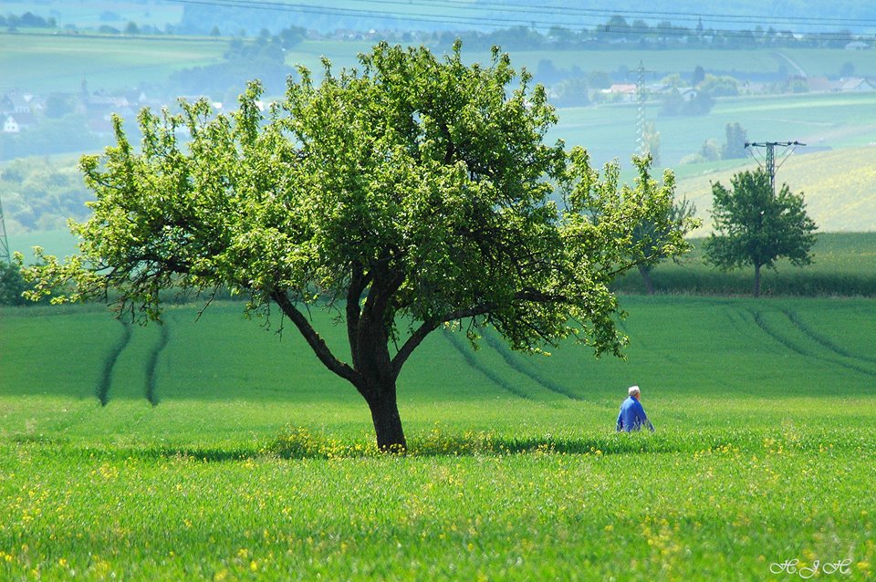 Mensch und Natur .........