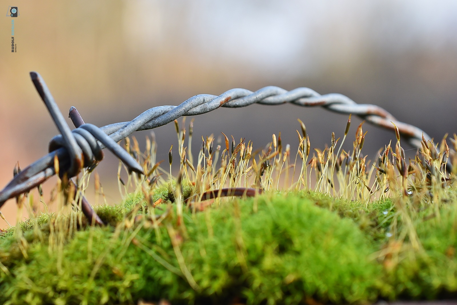 "Mensch" und "Natur"