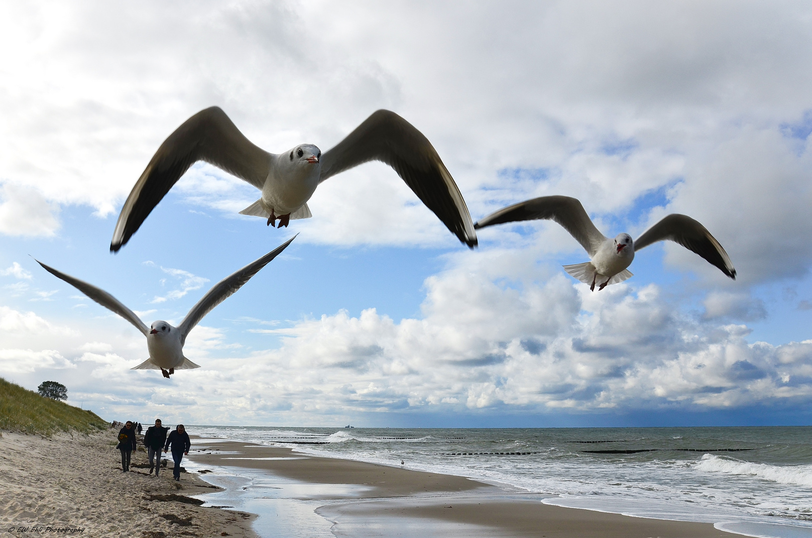 Mensch und Natur