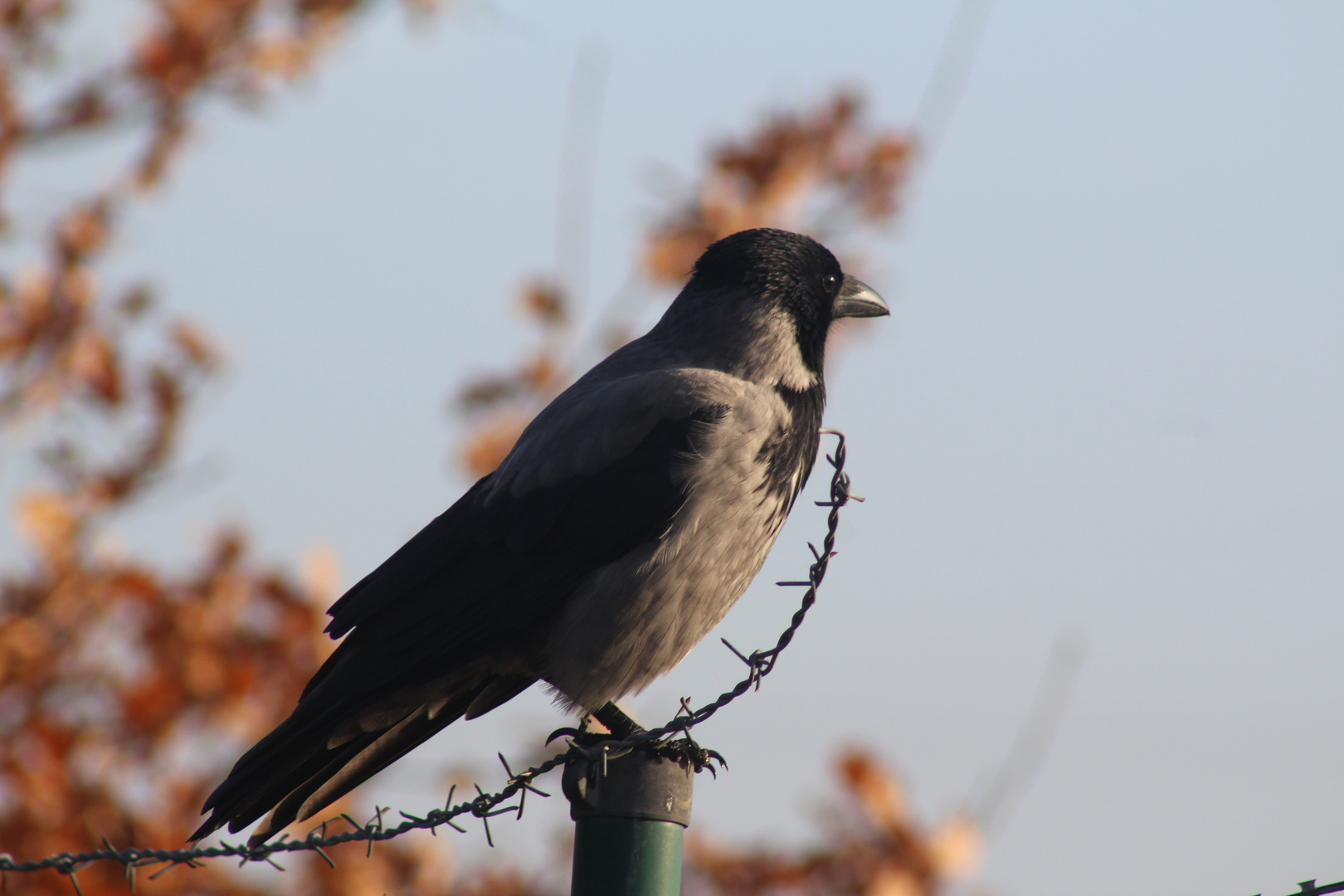 Mensch und Natur