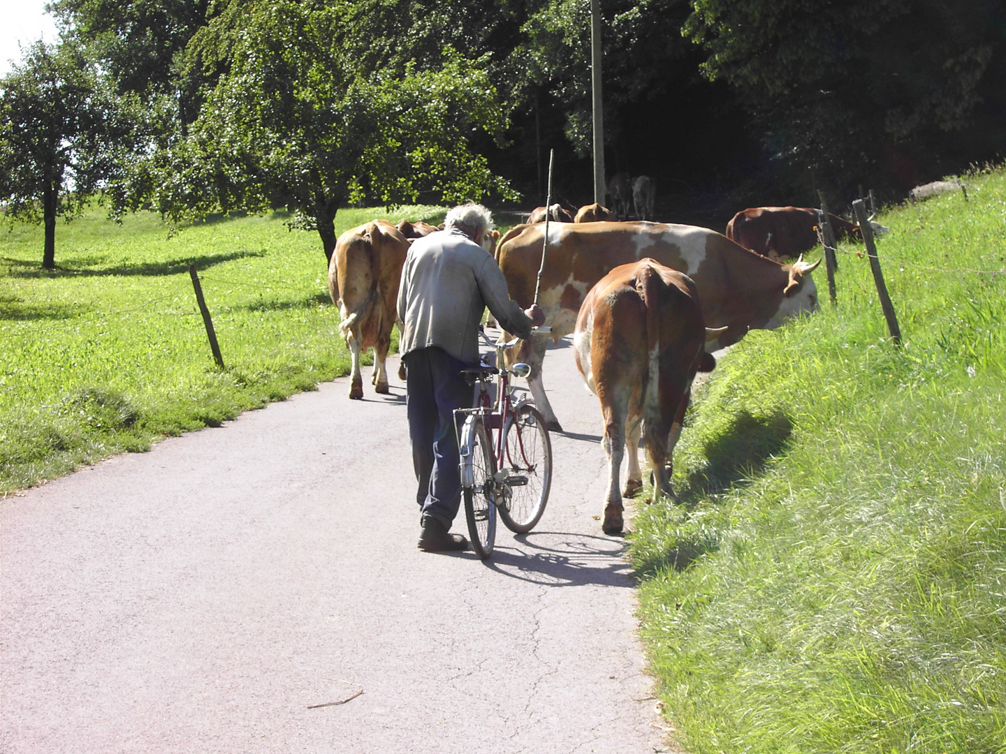 Mensch und Natur