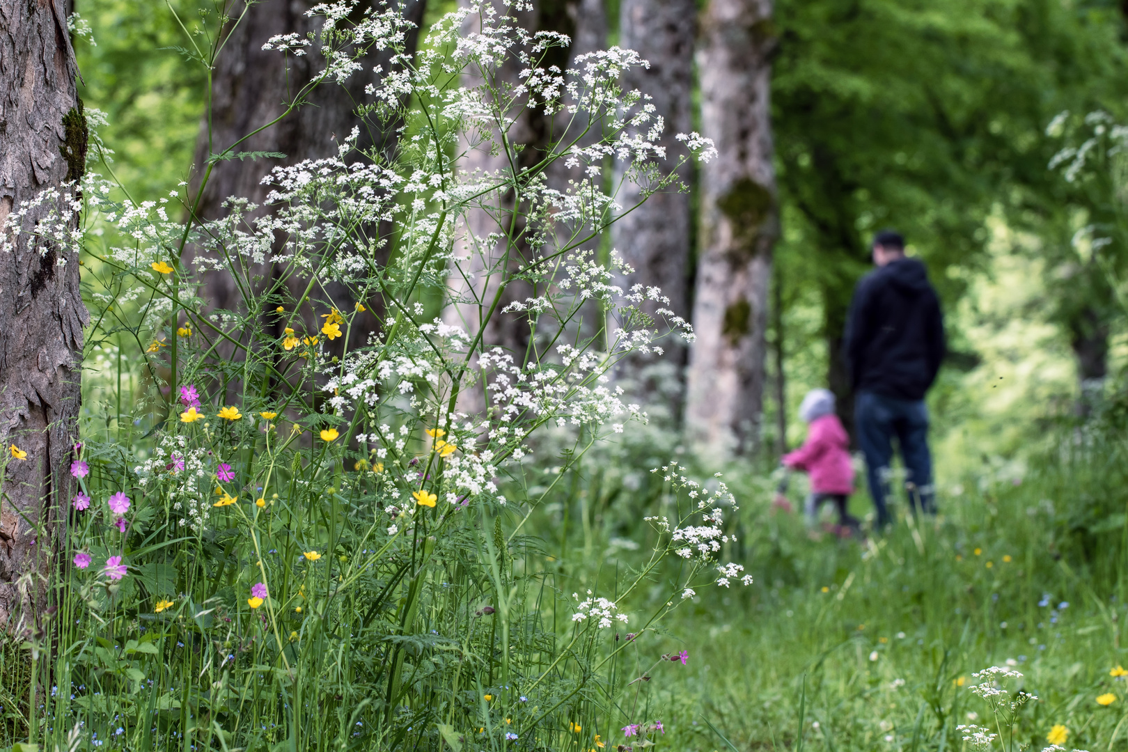 Mensch und Natur