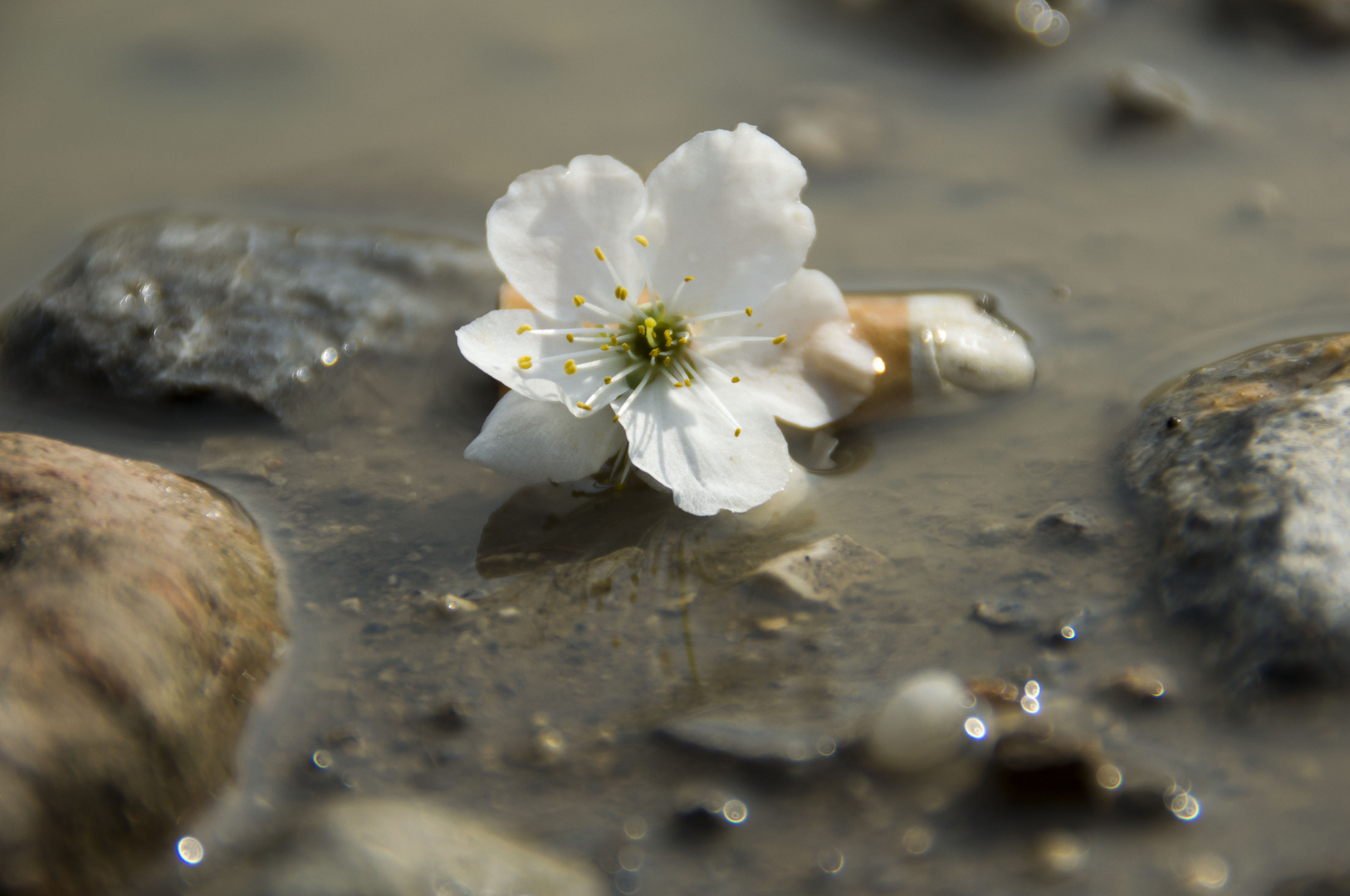 Mensch und Natur