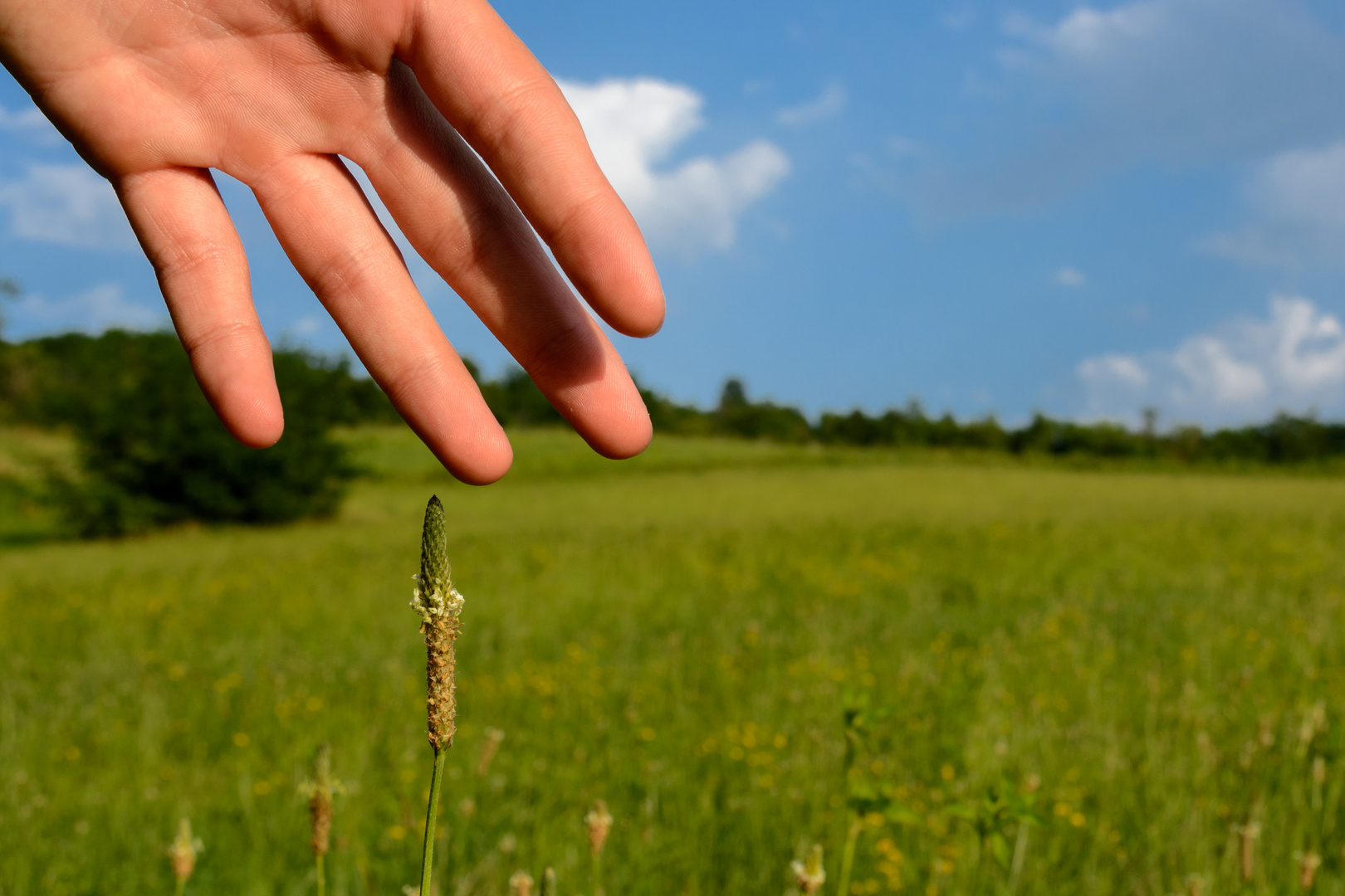 Mensch und Natur