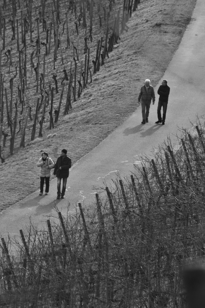 MENSCH UND NATUR