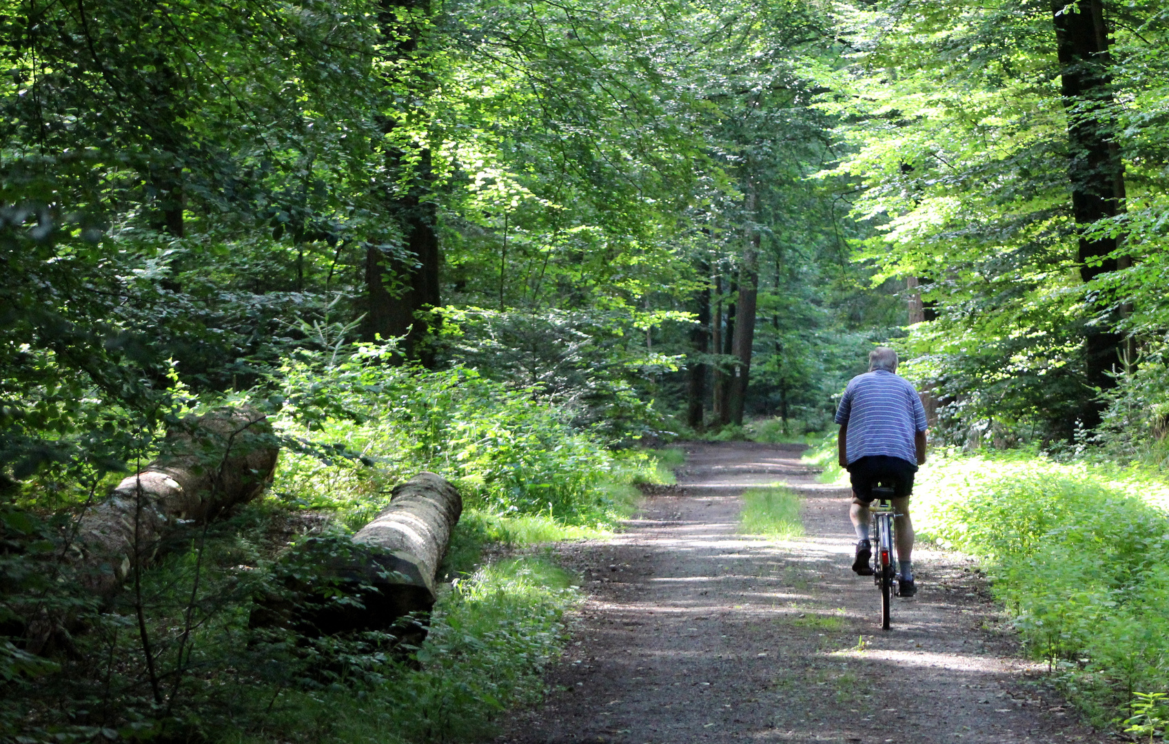 Mensch und Natur ....