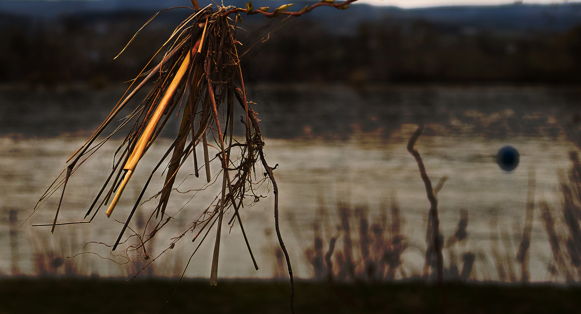 Mensch und Natur III