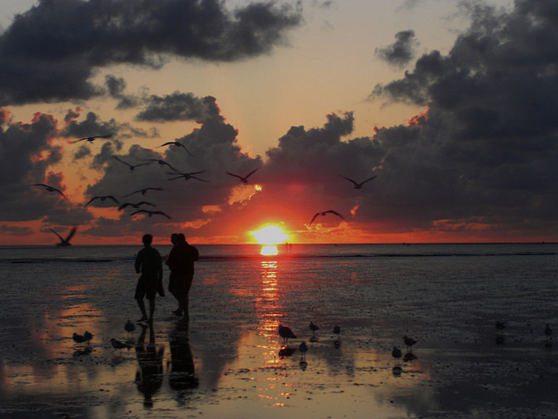 Mensch Und Natur Im Einklang Foto Bild Landschaft Meer Strand Watt Bilder Auf Fotocommunity
