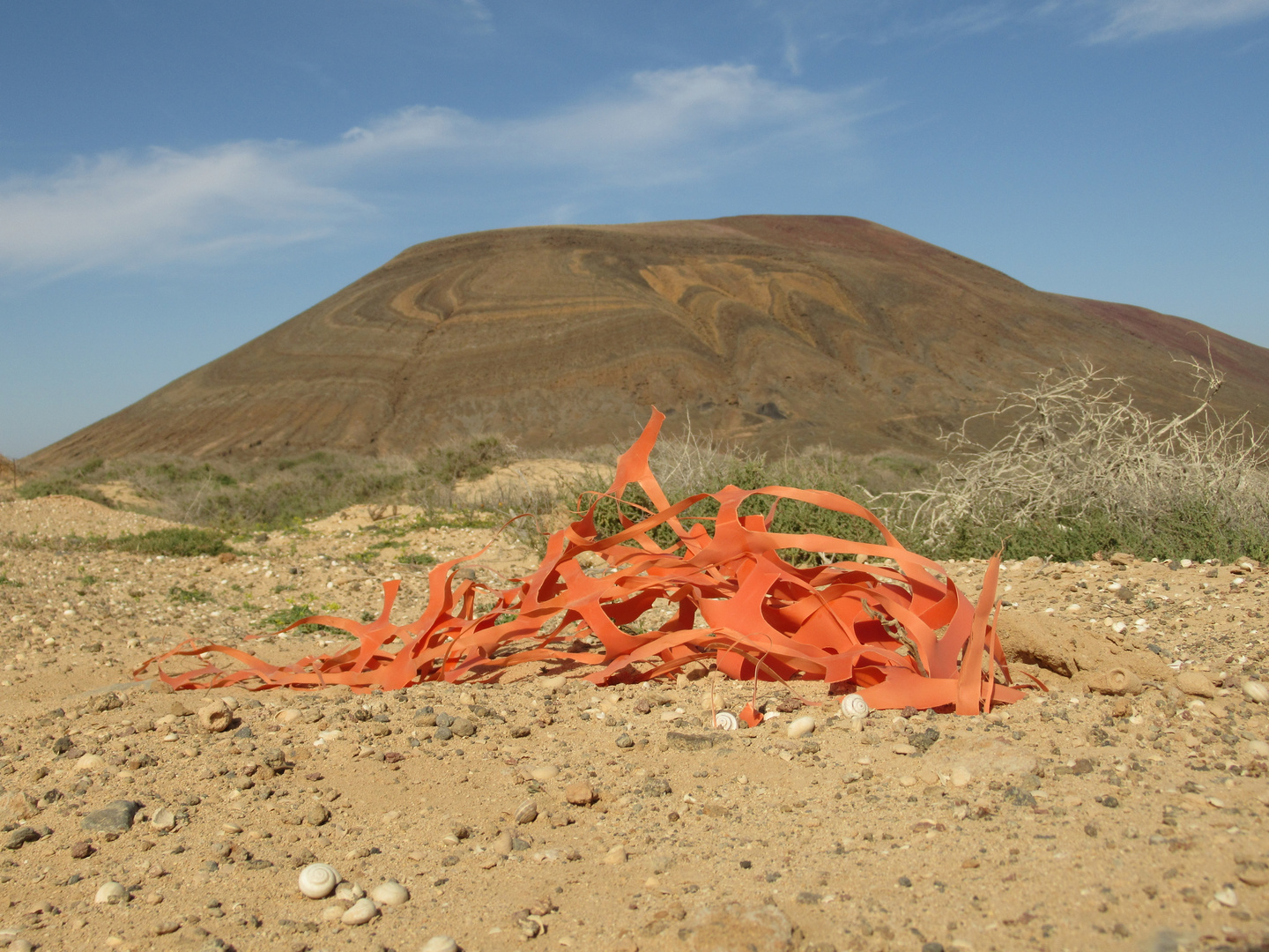 Mensch und Natur und ... Plastik ... Was, wenn jeder seinen Müll liegen lässt?