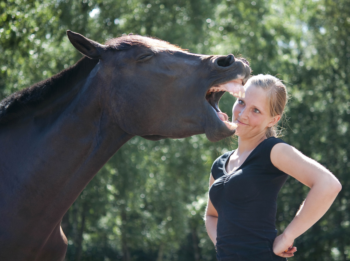 Mensch und Pferd