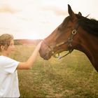 Mensch und Pferd