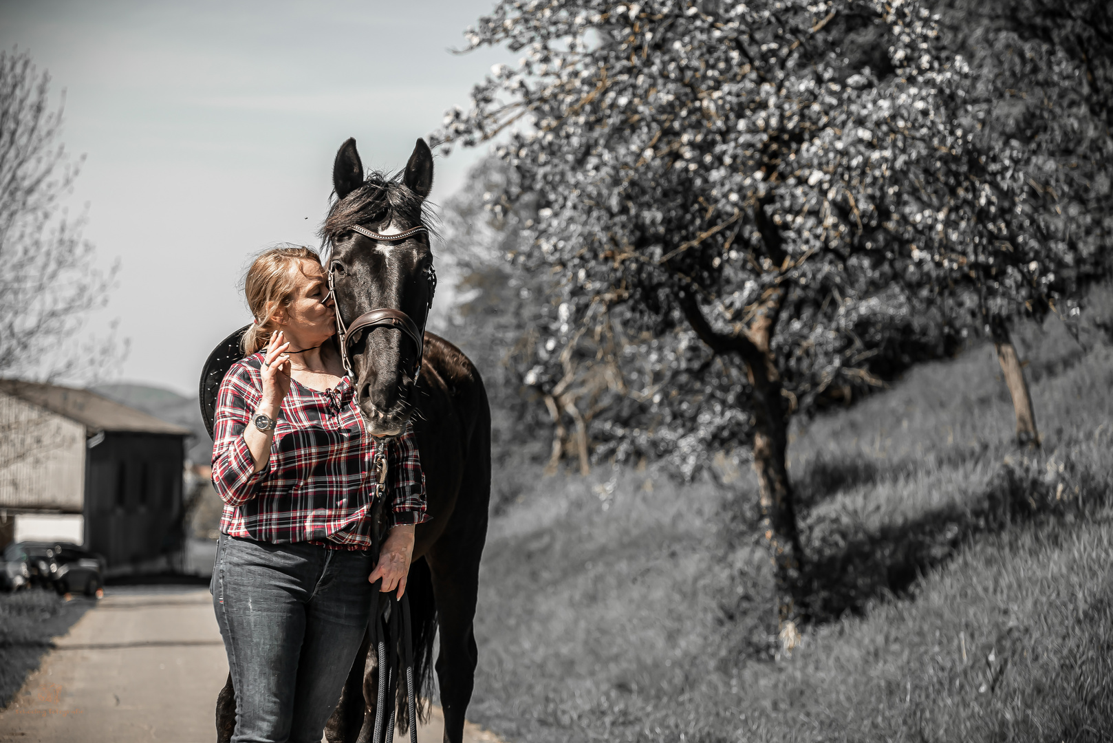 Mensch und Pferd