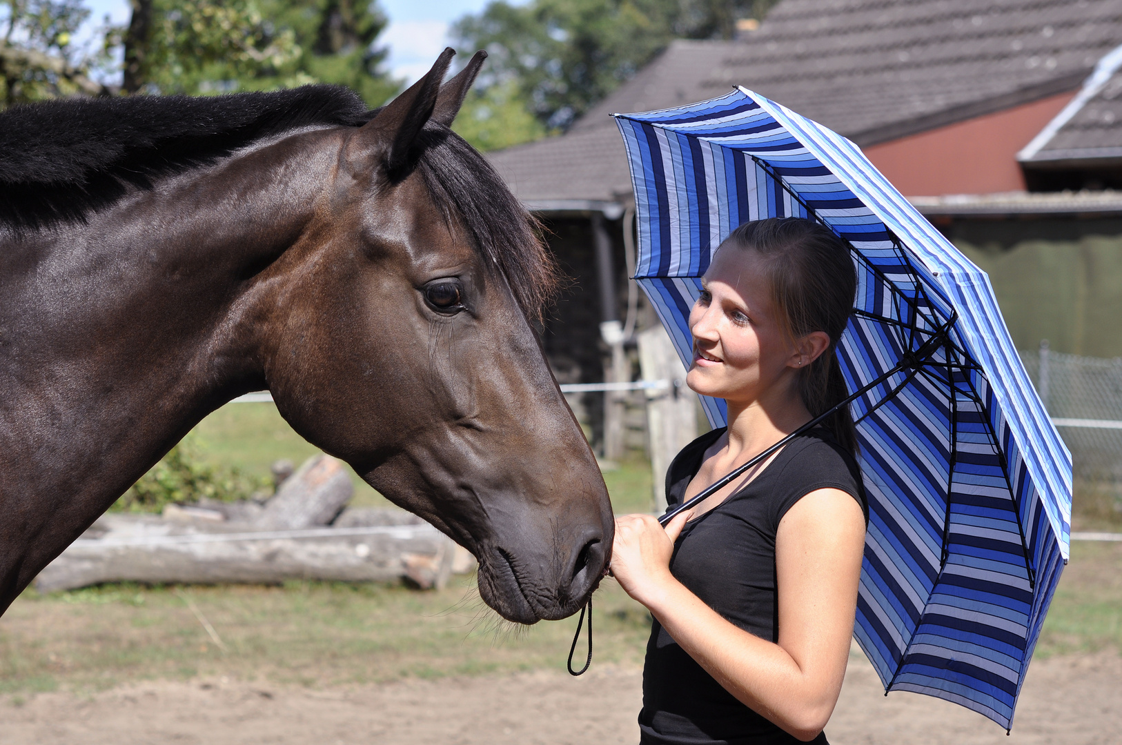 Mensch und Pferd