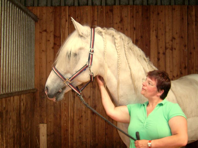 Mensch und Pferd