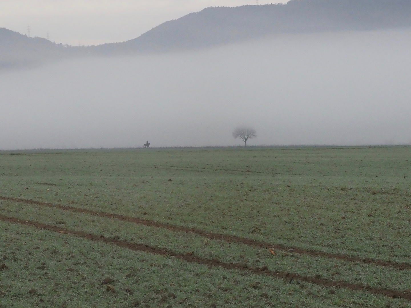 Mensch und Pferd ganz klein in der Nebel-Landschaft