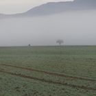 Mensch und Pferd ganz klein in der Nebel-Landschaft