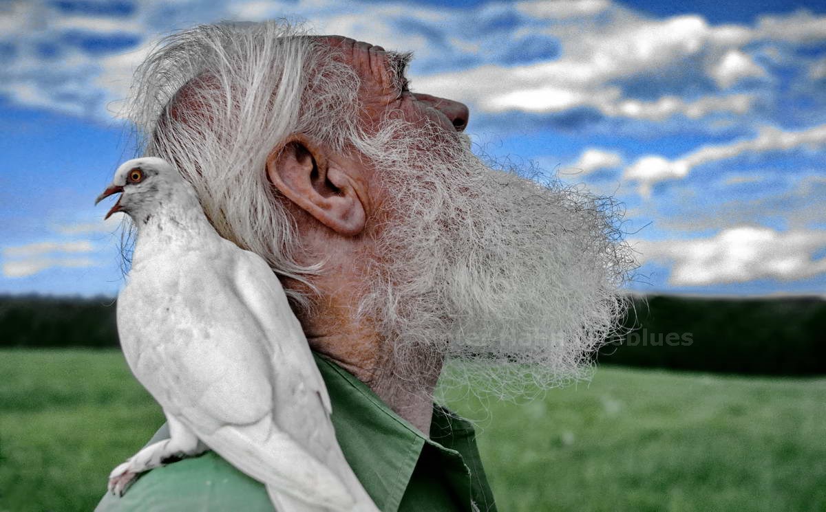 Mensch und Taube Foto & Bild outdoor, taube, tier Bilder auf