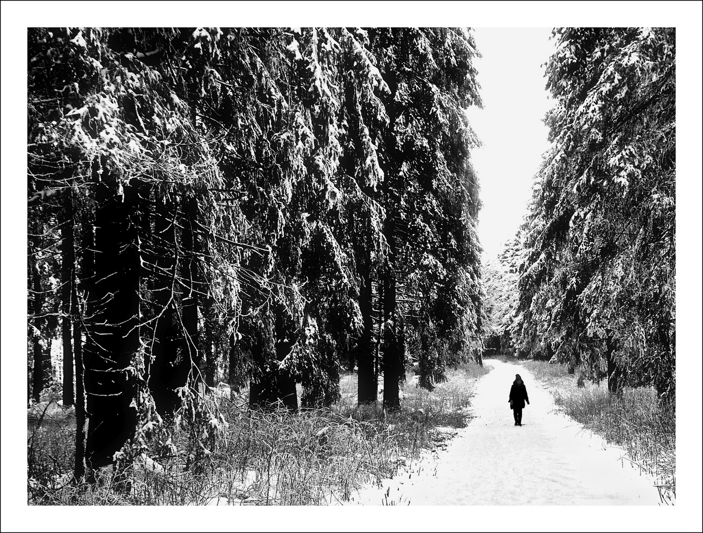 Mensch, Wald & Schnee