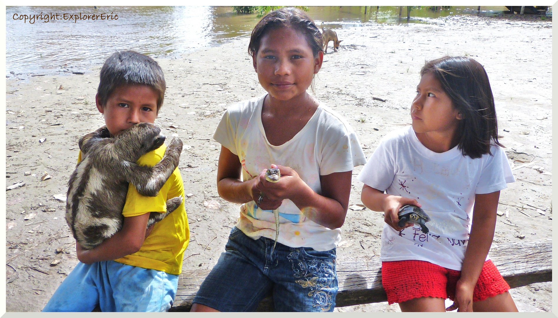 Menschen am Amazonas 7: Tierschau..............